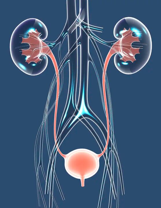 Gezonde mannelijke gezondheid illustratie